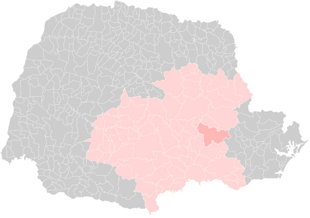 Mapa de municípios da região de Ponta Grossa