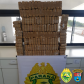 Polícias do Paraná apreendem 70 toneladas a mais de drogas no primeiro semestre