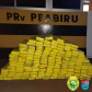 Polícias do Paraná apreendem 70 toneladas a mais de drogas no primeiro semestre