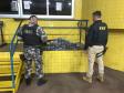 Policiais militares de Operações com Cães prestam apoio à PRF na apreensão de 62,2 quilos de pasta base de cocaína em Mandaguari (PR)