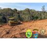 Desmatamento em área de preservação ambiental em Piraquara, na RMC, é flagrado pela PM e por agentes da prefeitura