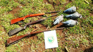 Homem é preso e três espingardas são apreendidas pela Polícia Ambiental em Guarapuava (PR)