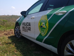 Polícia Ambiental flagra desmatamento e aplica mais de 1,4 milhão em multas em Irati (PR)