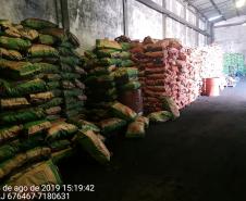 BPAmb-FV apreende mais de 25 toneladas de carvão vegetal no bairro Hauer, em Curitiba 