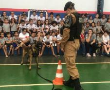 Durante formatura do PROERD, Canil do 19º Batalhão faz apresentação com os cães da corporação em Palotina (PR)
