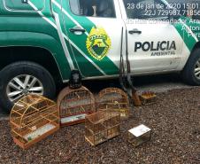 Polícia Ambiental prende dois homens, apreendem quatro espingardas e aplicam multa de R$ 14 mil no Litoral do estado