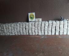 BPFron apreende mais de 400 quilos de cocaína e crack em Foz do Iguaçu (PR)