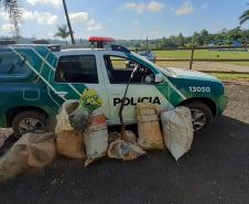 Polícia Ambiental flagra dupla pescando com redes em represa no Norte Pioneiro do estado