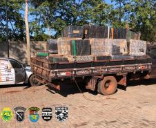 Em um dia, integrantes da operação Hórus fazem apreensões de contrabando avaliados em R$ 10 milhões