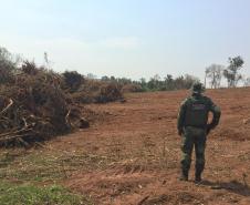 Denúncia leva Polícia Ambiental à aplicar R$ 80 mil em multas por desmatamento em Iporã (PR)