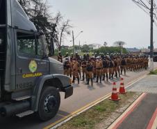 Pistola e 46 quilos de maconha são apreendidos durante a Operação Saturação do Regimento de Polícia Montada em Curitiba