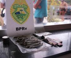 Em blitz educativa sanitária, Canil do BPRv apreende maconha em Pontal do Paraná 