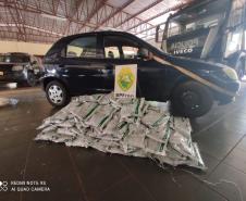 Carro carregado com 150 quilos de agrotóxico é apreendido pelo BPFron em Guaíra (PR)