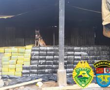 BPFron faz a maior apreensão de drogas da história da unidade em Toledo ao localizar depósito com 12,7 toneladas de maconha