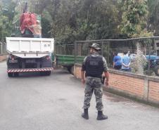 Polícia Ambiental presta apoio na remoção de tigre da Malásia e papagaios para o Zoológico de Curitiba