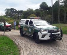 Polícia Ambiental presta apoio na remoção de tigre da Malásia e papagaios para o Zoológico de Curitiba