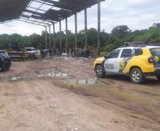 ROTAM localiza quase sete quilos de maconha na Estrada das Colônias em Paranaguá (PR)