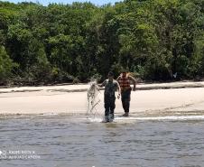 Batalhão Ambiental apreende rede de pesca na Ilha das Peças