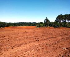 Trio é autuado em quase R$ 100 mil por destruição de vegetação nativa em Guarapuava (PR)