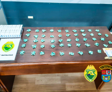 Em Colombo, na RMC, operação da PM resulta na apreensão de mais de 700 porções de drogas