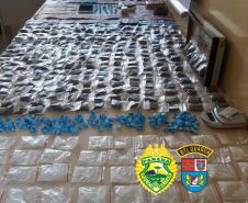 Cinco pessoas são presas pelo BPGd por envolvimento com o tráfico de drogas em Piraquara e mais de 690 porções de drogas são apreendidas