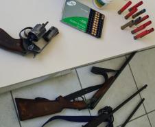 Polícia Ambiental apreende quatro armas e 12 pássaros silvestres em Rio Negro (PR)