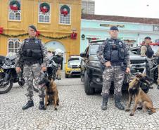 As unidades especializadas da PMPR foram mobilizadas para apoiar as forças locais e reforçar áreas estratégicas