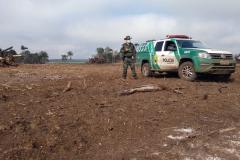 Polícia Ambiental aplica mais de R$ 243 mil em multas por destruição de vegetação nativa no Sudeste do estado