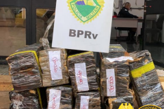 BPRv apreende quase 200 quilos de maconha no Norte do estado