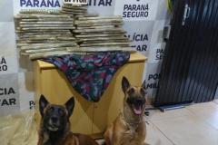 BPFron apreende mais de 42 quilos de maconha em Cascavel (PR) e evita que a droga chegue ao Rio de Janeiro 