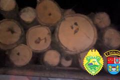 Em Mangueirinha (PR), policiais militares apreenderam caminhão carregado com madeira de Araucária 