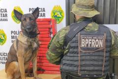 Durante Operação Hórus, Polícia da Fronteira apreende 26,8 quilos de maconha em ônibus de viagem, na cidade de Cascavel (PR)