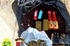 PM prende três pessoas e apreende mais de 200 gramas de maconha em Morretes (PR)