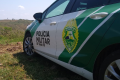 Polícia Ambiental encaminha duas pessoas por caça ilegal em São Jorge do Ivaí (PR); Quatro armas de fogo foram apreendidas