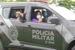 Equipe de Operações com Cães recebe admiradora da PM em Jacarezinho (PR)