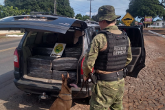 Abordagens do BPFRON resultam em mais de R$ 8 milhões de prejuízo ao contrabando e ao tráfico de drogas na região de Fronteira