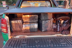 Polícia Ambiental apreende carro carregado com 154 quilos de maconha no Oeste do estado