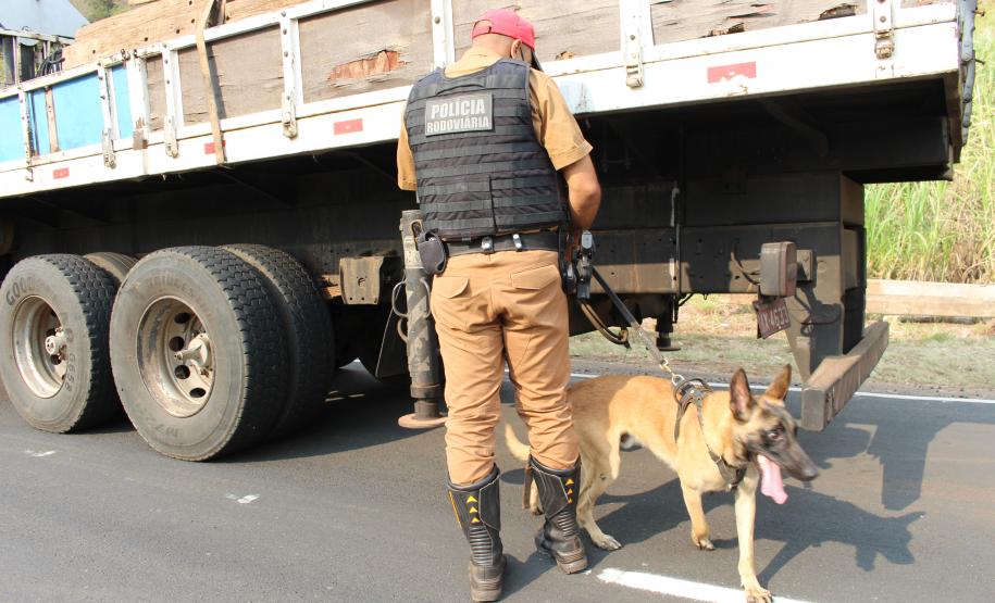 Megaoperação Divisas Integradas termina com a apreensão de mais de 410 quilos de drogas pela Polícia Militar do Paraná