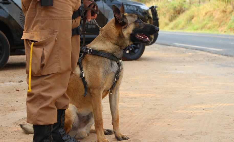Megaoperação Divisas Integradas termina com a apreensão de mais de 410 quilos de drogas pela Polícia Militar do Paraná