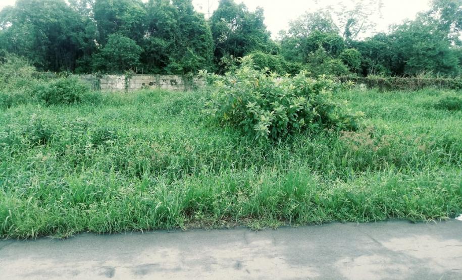 Policiais militares salvam família de ataque de abelhas em Paranaguá (PR)