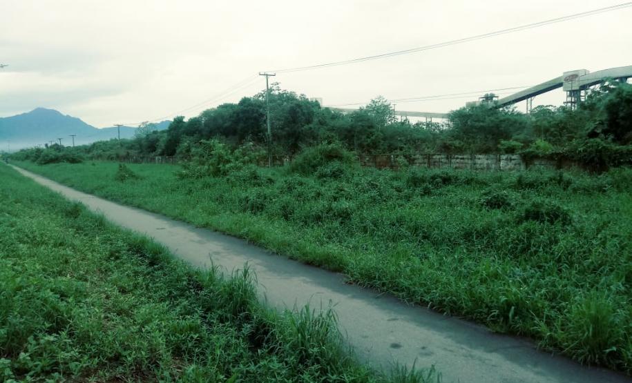 Policiais militares salvam família de ataque de abelhas em Paranaguá (PR)