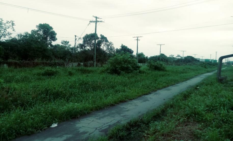 Policiais militares salvam família de ataque de abelhas em Paranaguá (PR)