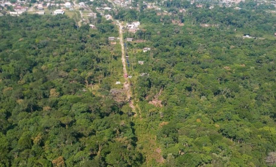 Polícia Ambiental identifica 13 pontos com corte de vegetação nativa em Guaratuba (PR)
