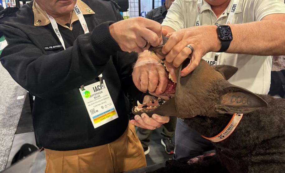 PMPR encerra participação na Conferência Internacional de Chefes de Polícia, nos Estados Unidos