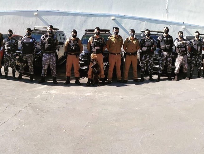 Canil da PM de Cianorte distribui filhotes para canis do BOPE e de unidades do Interior do estado