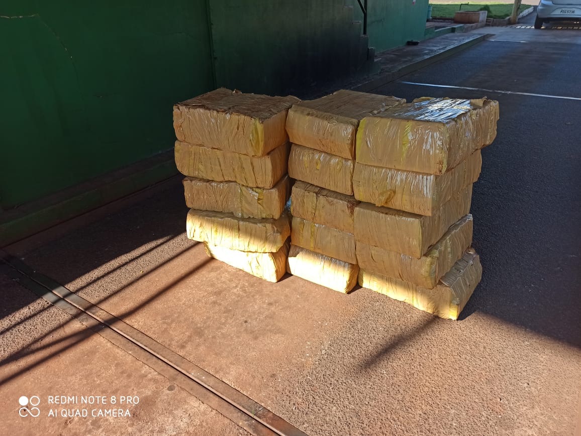 Durante feriado de Corpus Christi, BPRv retira de circulação mais de R$ 500 mil em maconha no Paraná