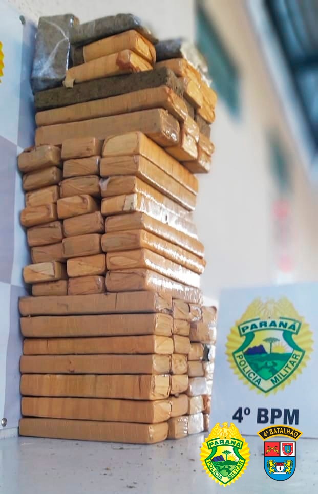 Em seis meses, cães de faro da PM apreendem mais de 38 toneladas de maconha no Paraná