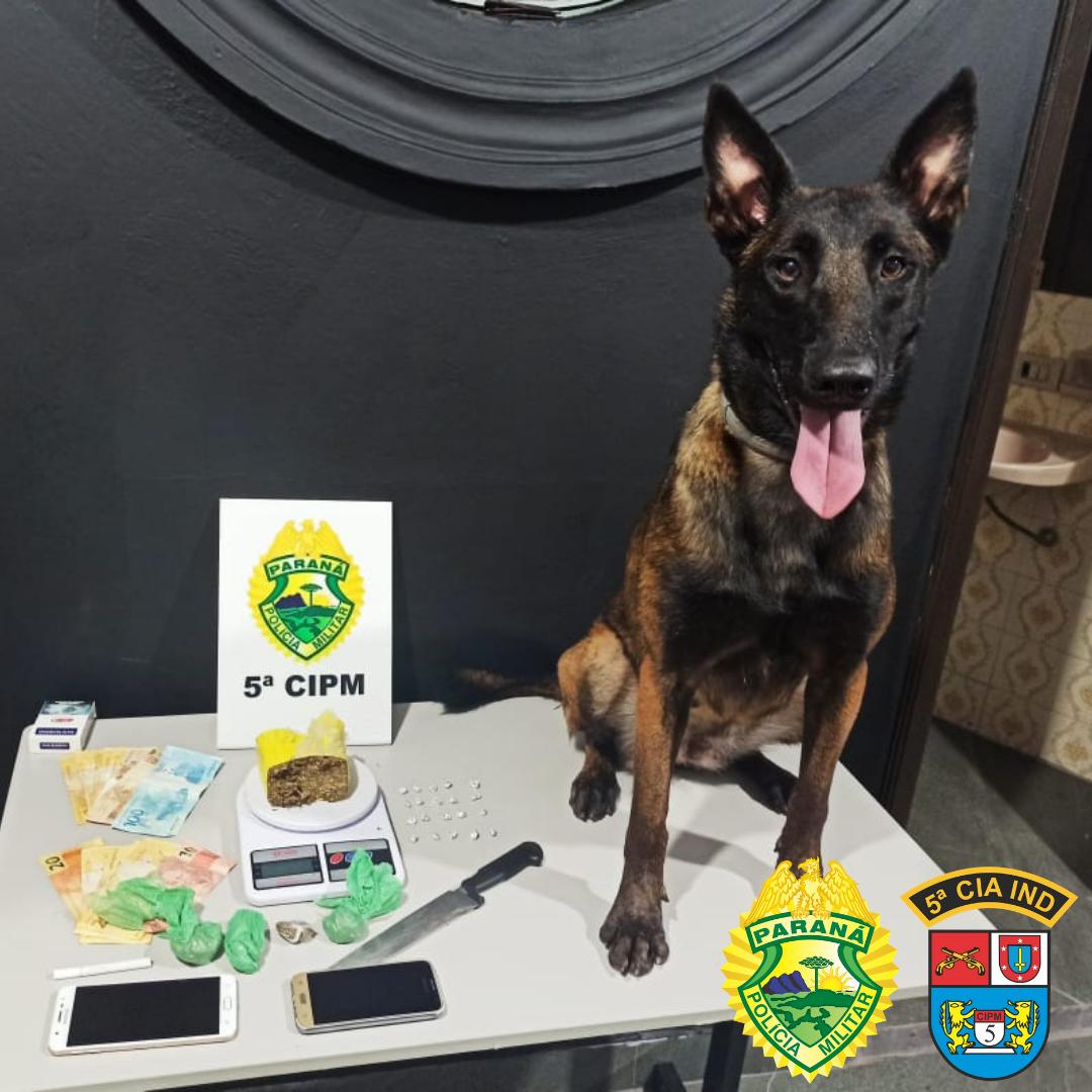 Cão policial da PM entrega esquema de suspeitos ao localizar crack escondido embaixo de uma pedra, em Cianorte (PR)