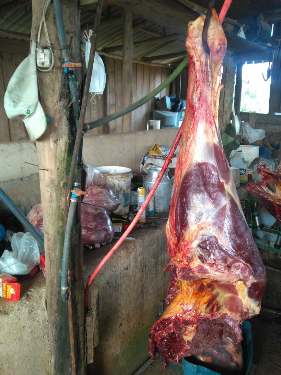 ABATE DE CAVALO PARA FAZER CARNE SECA PASSO A PASSO IMAGENS CHOCANTES. 