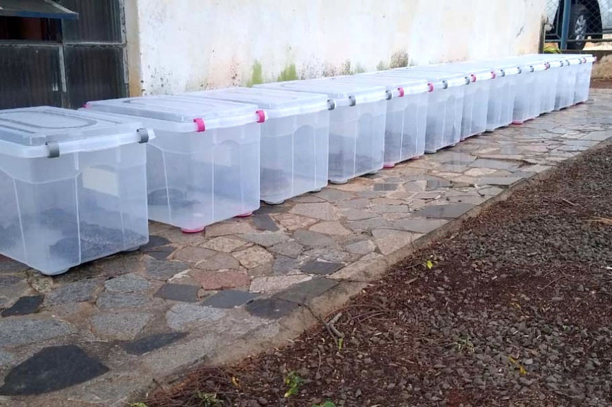 ​Polícia Ambiental reforça ações e atende 15 mil ocorrências em 2020